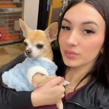 TikTok网红推广:美国宠物护理达人博主推荐