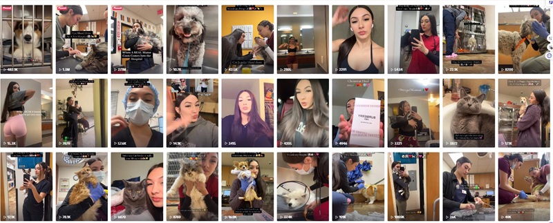 TikTok网红推广:美国宠物护理达人博主推荐频道内容