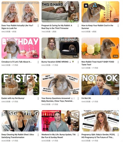 YouTube网红推荐:10.6万粉丝的美国宠物与生活方式类博主频道内容