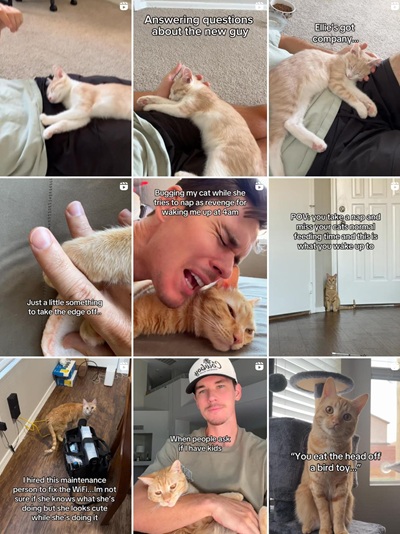 美国高互动率的宠物用品推广达人频道内容