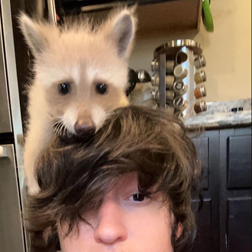 TikTok网红推荐:美国宠物智能设备和宠物用品宣传博主