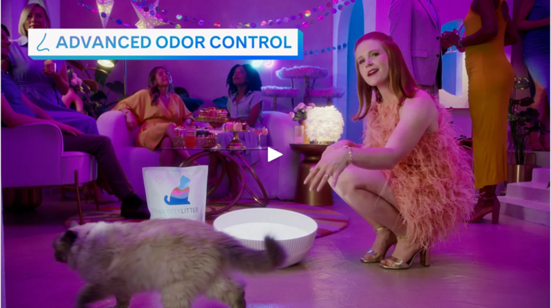 海外营销案例解析：稳住“毛孩子”，抓住钱袋子！